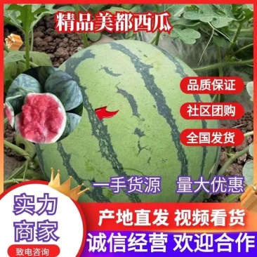 优选【美都西瓜】无籽西瓜当季热卖薄皮大红瓤现摘现发