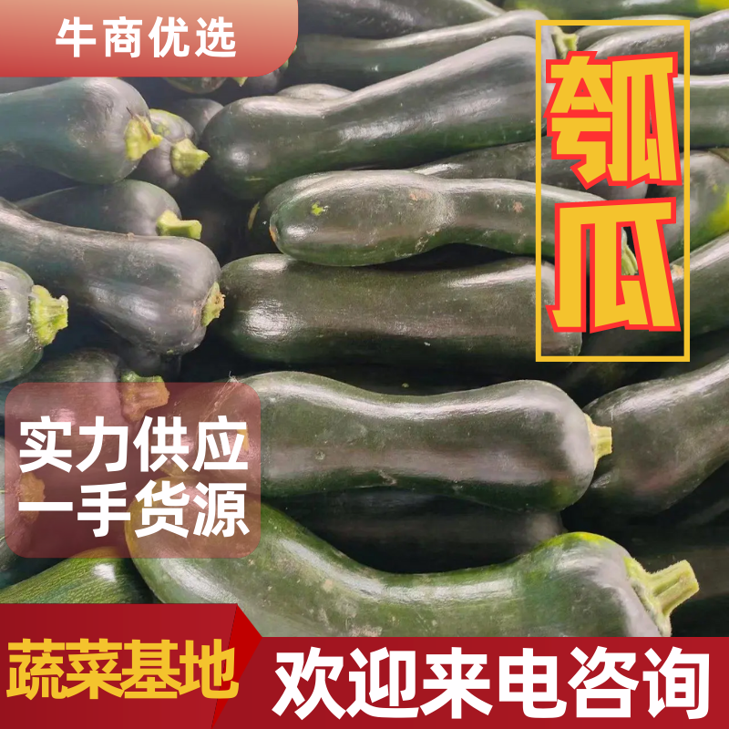 精品瓠瓜，常年供应超市、市场、电商平台，货源充足