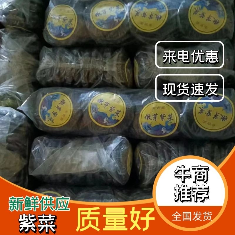 精品紫菜厂家一手货源全国发货价格优惠供应市场商超电商