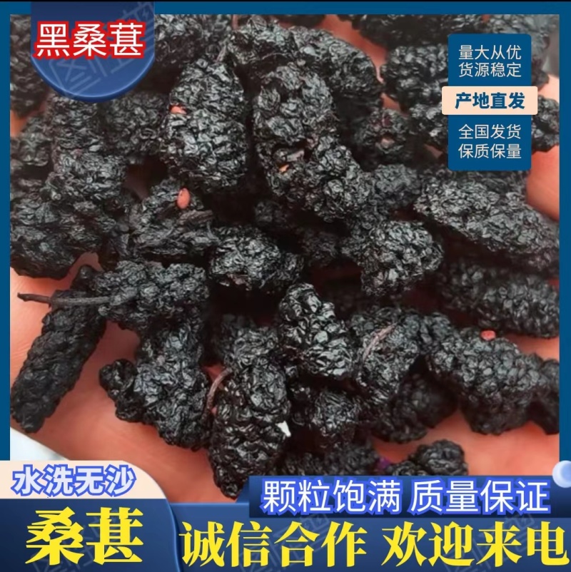 四川黑桑椹子，颗粒饱满，水洗无沙，口感好，可干吃量大从优