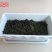 进口提摩西草种子猫尾草牧草种子梯牧草兔豚鼠龙猫荷兰猪草籽