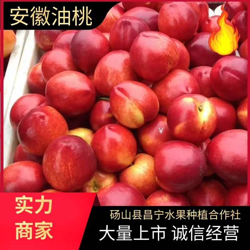 s安徽油桃油桃大量上市，产地直供全国代发！