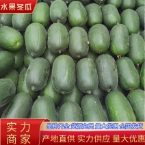 山东水果冬瓜小冬瓜产地直发品质保证对接全国市场