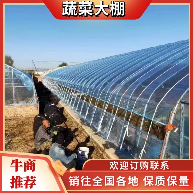 大棚冷棚拱棚养殖蔬菜大棚等规格型号齐全欢迎实地考察