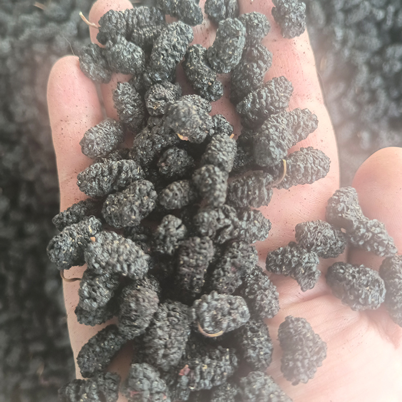 桑椹干烤干桑椹干现货供应批发水洗货无沙可即食泡酒桑椹干