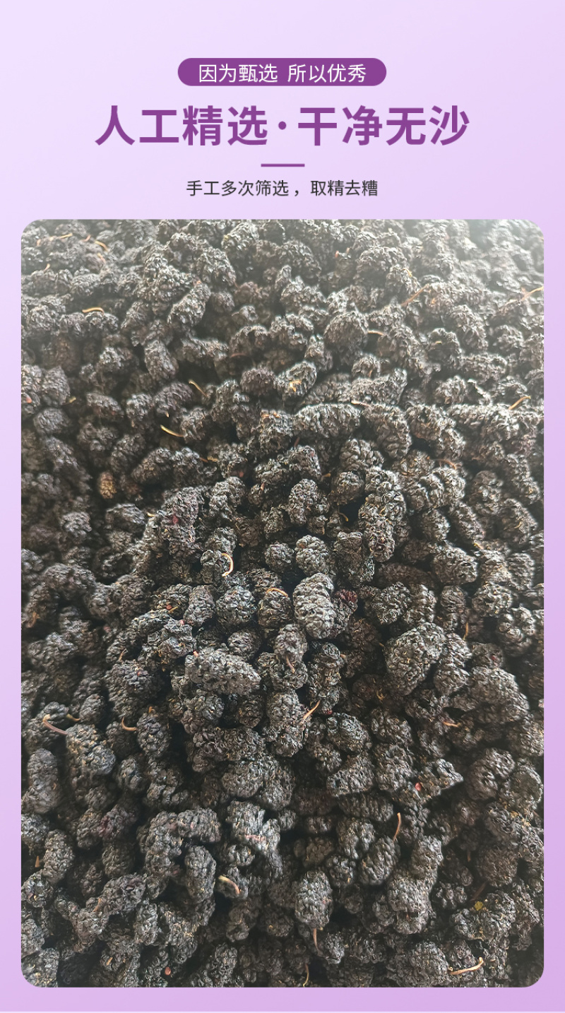 桑椹干烤干桑椹干现货供应批发水洗货无沙可即食泡酒桑椹干