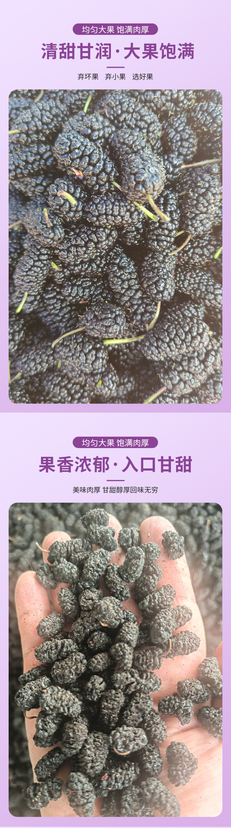 桑椹干烤干桑椹干现货供应批发水洗货无沙可即食泡酒桑椹干