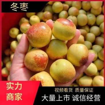 大荔冬枣鲜枣皮薄脆甜五斤装特价优惠产地大量有货一件代发