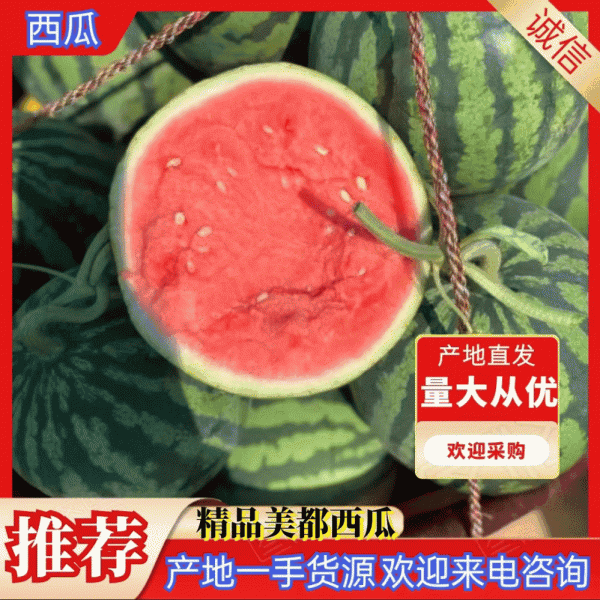 河南商丘夏邑无籽麒麟西瓜有籽麒麟西瓜对接电商市场批发