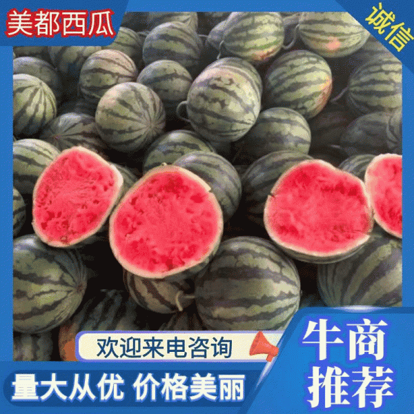 云南西双版纳无籽美都西瓜无籽麒麟西瓜对接全国商户