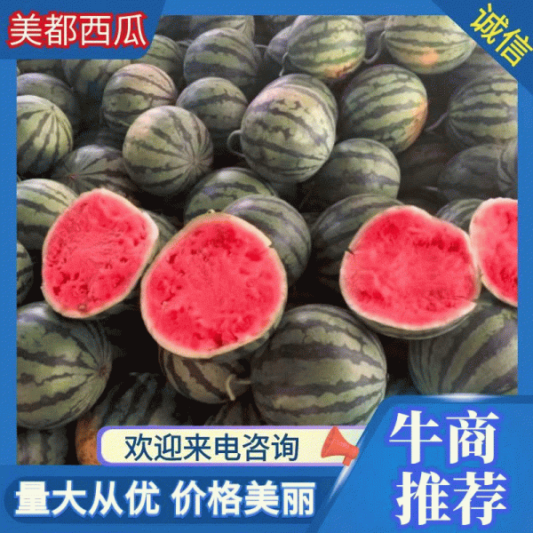 [美都西瓜批发]云南西双版纳勐海县西瓜 0.65元/斤云南西双版 _ 一亩田