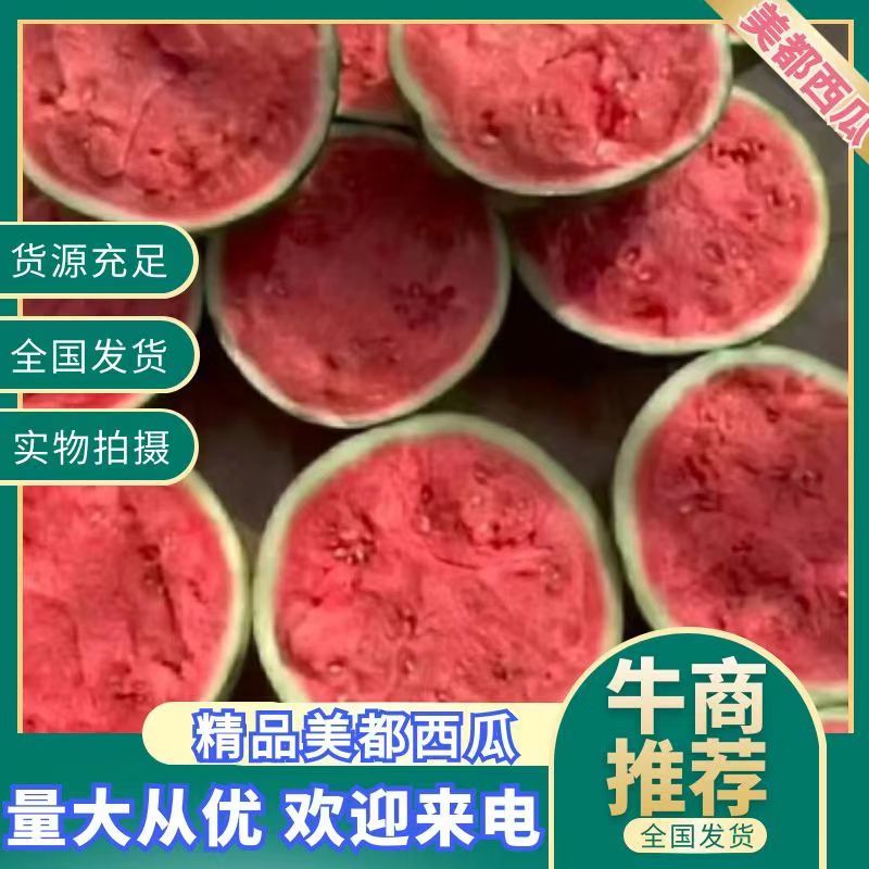 云南西双版纳无籽美都西瓜无籽麒麟西瓜对接全国商户