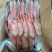 红目莲船冻鲜度好200/400价格优秀电话咨询