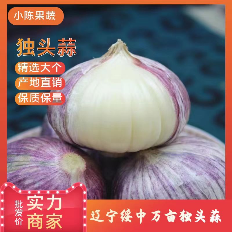 大蒜，独头蒜辽宁绥中万亩独头蒜掰蒜大量上市质量保证
