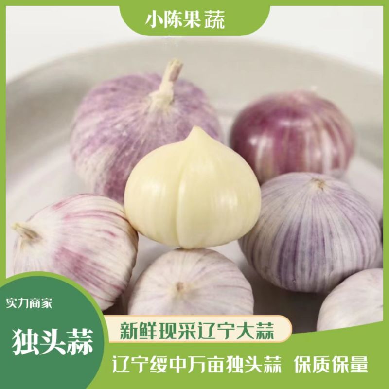 大蒜，独头蒜辽宁绥中万亩独头蒜掰蒜大量上市质量保证