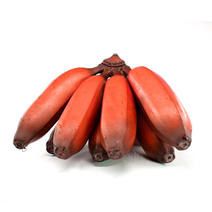 福建红美人香蕉5斤新鲜当季水果现摘红皮美人蕉一件