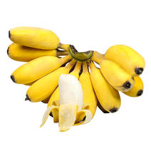 福建苹果蕉5斤当季新鲜现摘孕妇水果特产香蕉粉蕉一件