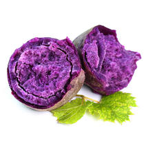 福建沙地紫薯9斤新鲜当季粗粮紫罗兰紫薯粉糯红薯一件