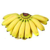 广西小米蕉9斤banana香蕉新鲜水果香甜芭蕉一件