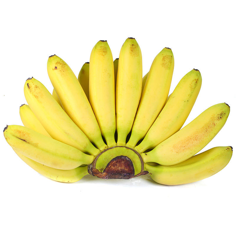 广西小米蕉9斤banana香蕉新鲜水果香甜芭蕉一件代发