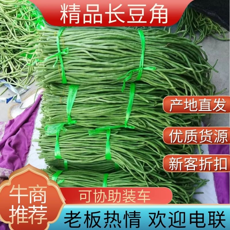 【好货推荐】湖北荆门精品长豆角保质保量产地直供上市中