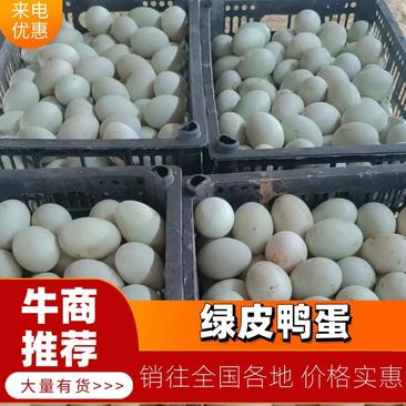 鲜鸭蛋青皮鸭蛋辽宁海城养殖场稳定供货