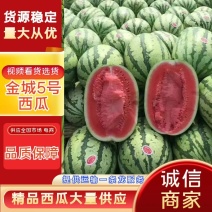 【精品】宁夏西瓜金城五号西瓜个大皮薄生瓜包赔