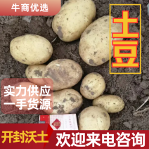 开封土豆，一手货源，精品，保质保量，价格稳定