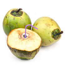 海南带皮椰子8个装青椰孕妇水果晴天多汁绿皮椰青一件代发