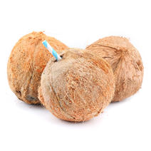 海南毛椰子9个装新鲜老椰子特产水果毛椰子椰青一件代发