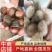 江苏水蛭水蛭种苗蚂蟥大型养殖场水蛭幼苗包养殖包回收
