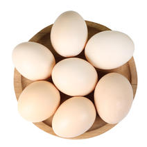 河南谷物蛋50枚农家谷物喂养鸡蛋营养鲜鸡蛋整箱一件