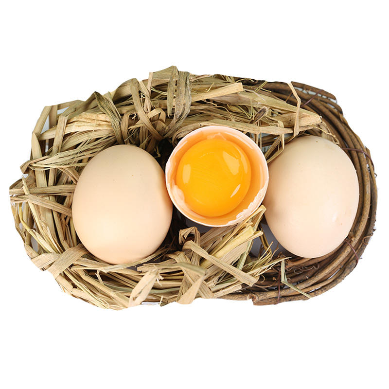 河南谷物蛋50枚农家谷物喂养鸡蛋营养鲜鸡蛋整箱一件代发