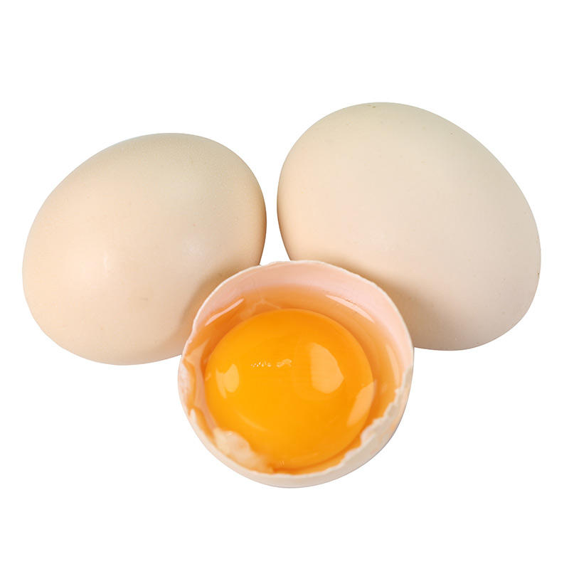 河南谷物蛋50枚农家谷物喂养鸡蛋营养鲜鸡蛋整箱一件代发
