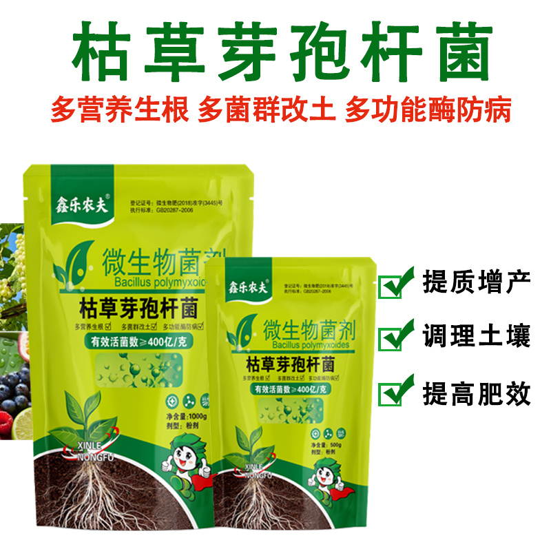 枯草芽孢杆菌生物菌剂提高肥效改良土壤抑制土传病害
