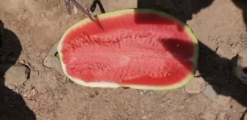 精品美都搞起来，产地直发大量上货欢迎来电咨询