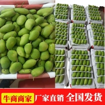 精品小台芒海南产地直供二级果批发零售货源充足量大价优先