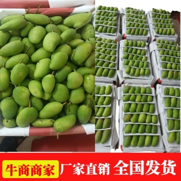精品小台芒海南产地直供二级果批发零售货源充足量大价优先