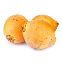 海南金椰9个装新鲜黄金椰子带皮红椰金椰热带水果一件发