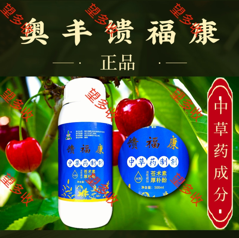 奥丰馈福康流胶病溃疡病腐烂病轮文病果树枝干病害微生物菌剂