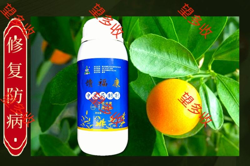 奥丰馈福康流胶病溃疡病腐烂病轮文病果树枝干病害微生物菌剂