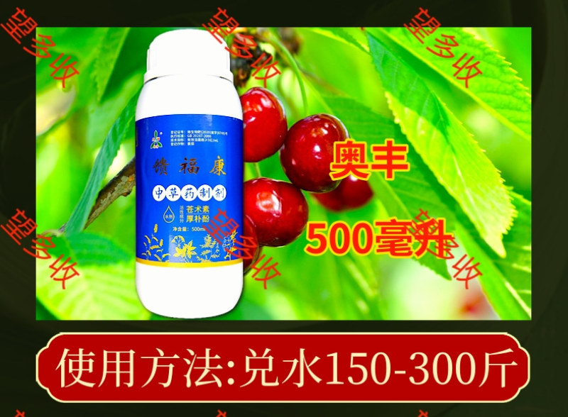 奥丰馈福康流胶病溃疡病腐烂病轮文病果树枝干病害微生物菌剂