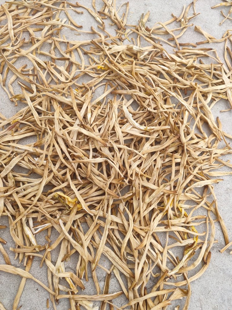 【黄花菜】大荔黄花菜大量供应适合餐饮欢迎下单
