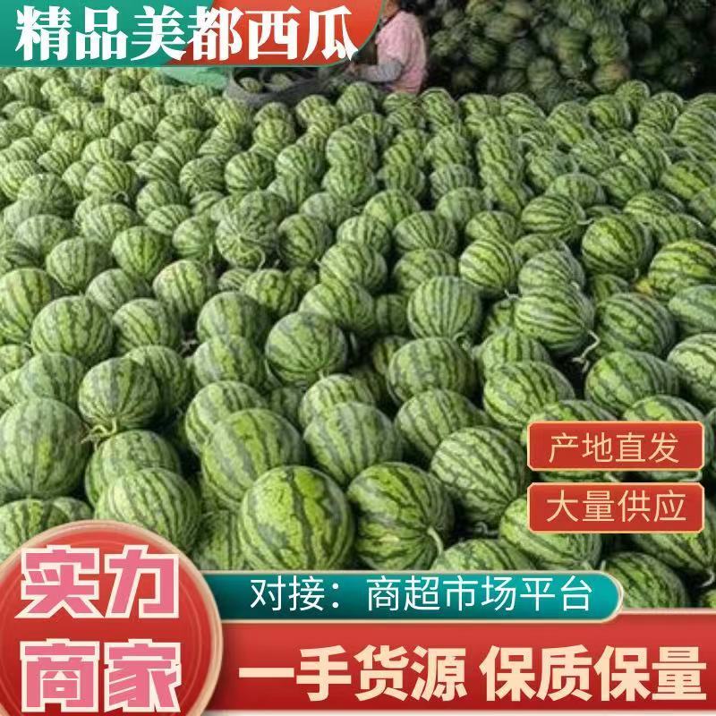 精品推荐美都西瓜产地直发大量供应全国发货