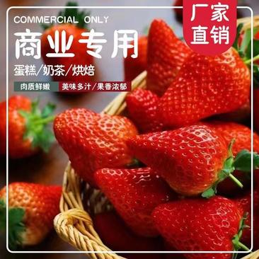 【草莓】丹东精品红颜草莓产地供货现摘现发欢迎采购
