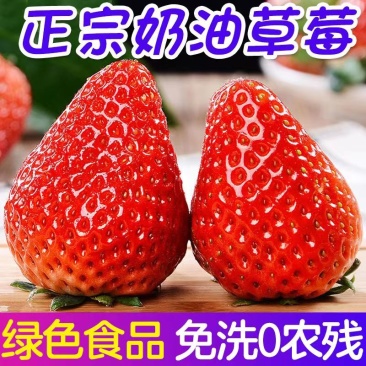 【红颜草莓】丹东精品红颜草莓产地供货一手货源欢迎采购