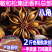 香料批发产地广西大红春花八角足干无硫火锅大料供应散装批发