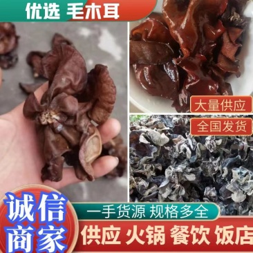 白背毛木耳地木耳散装脆木耳黑木耳火锅餐饮饭店食堂专用木耳