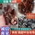 毛木耳干货山东鱼台木耳没有中间商物美价廉餐饮店供应