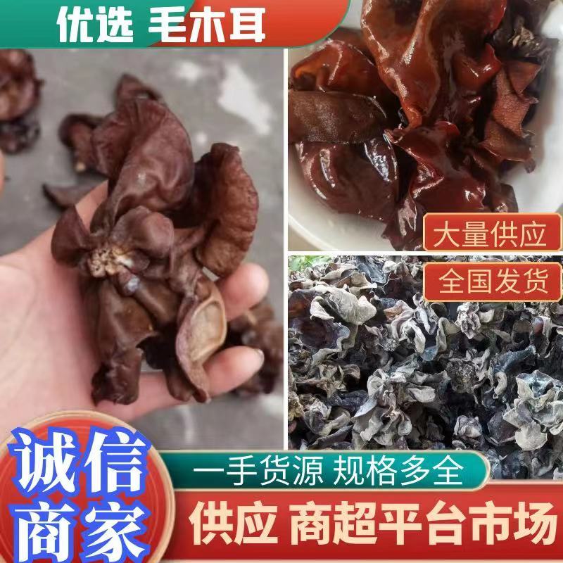 毛木耳干货山东鱼台木耳没有中间商物美价廉餐饮店供应